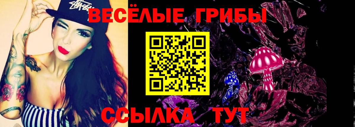 Галлюциногенные грибы Psilocybe  Вход с VPN  Новоуральск 